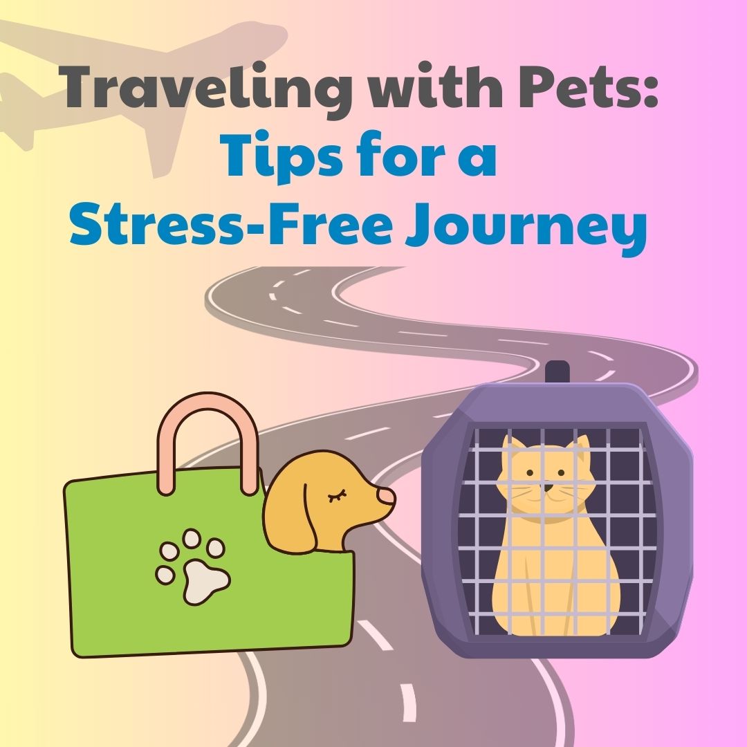 Your Comprehensive Guide to Stress-Free Traveling with Pets