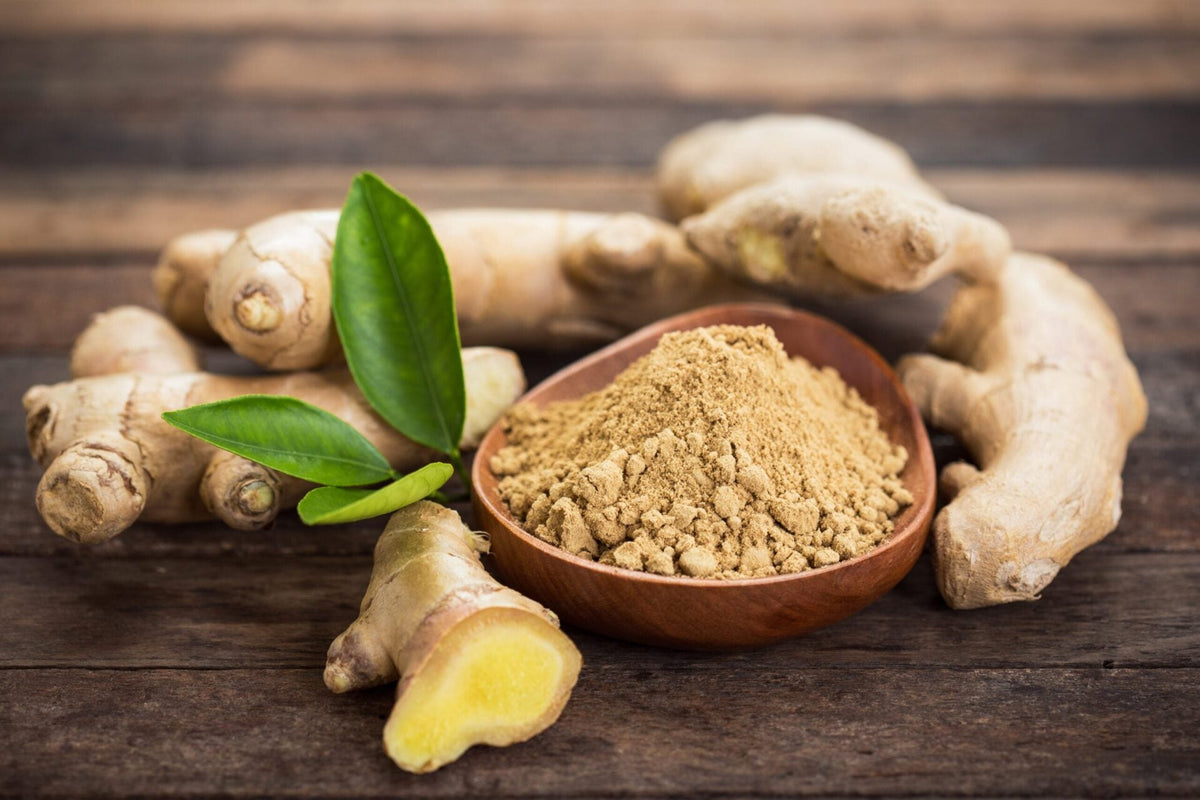 Can Dogs Eat Ginger?