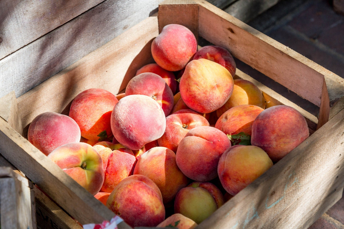 Can Dogs Eat Peaches? A Vet's Guide to Stone Fruits and Dog Safety