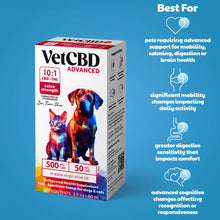 Wholesale | Advanced Formula CBD:THC Tinctures