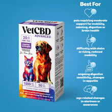 Wholesale | Advanced Formula CBD:THC Tinctures