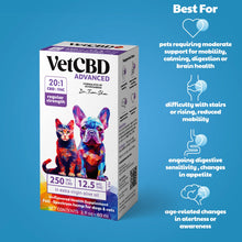 Wholesale | Advanced Formula CBD:THC Tinctures