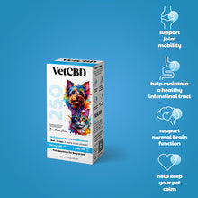VetHemp Standard Formula Tinctures for Dogs & Cats