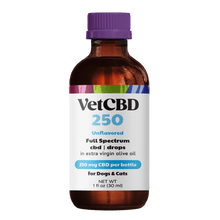 Standard Formula CBD Tinctures for Dogs & Cats