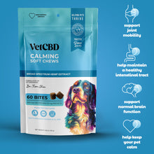 CBD Calming Chews for Dogs