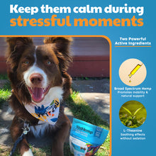 CBD Calming Chews for Dogs 10 Count